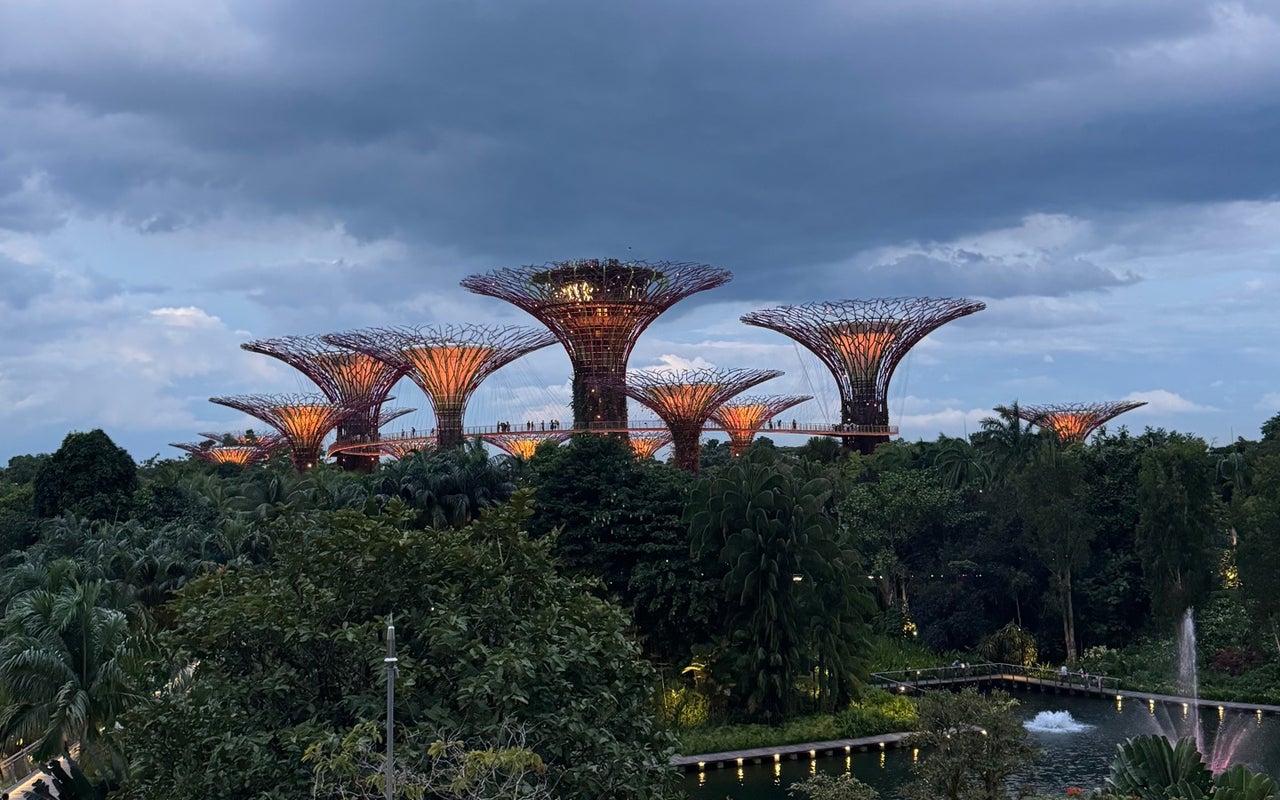 Dragonfly Bridge