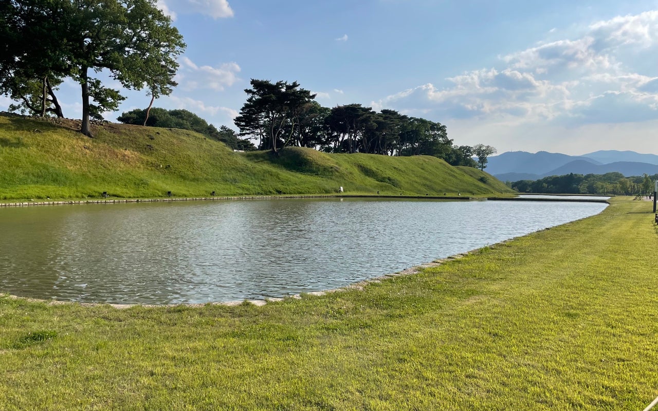 Wolseong Palace Site (월성)