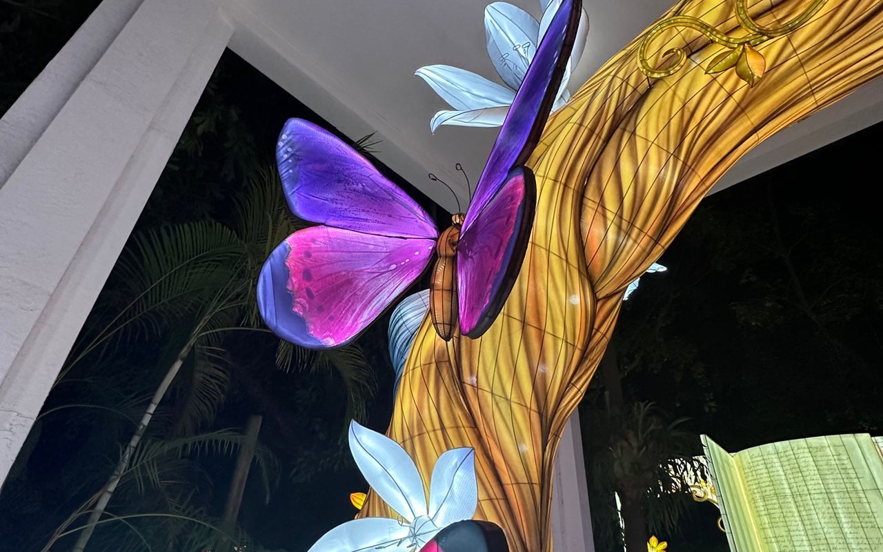 Jungle Island