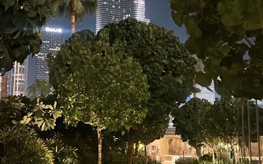 The Dubai Fountain (نافورة دبي)