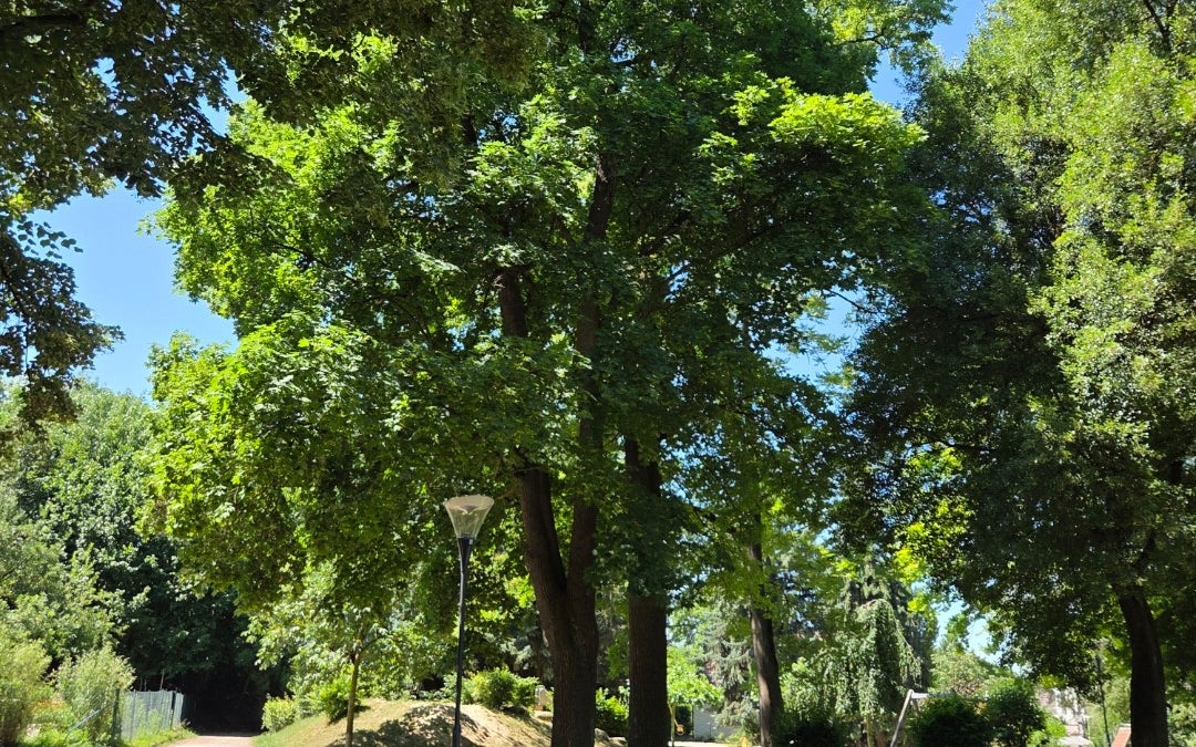 Stadtpark Melk