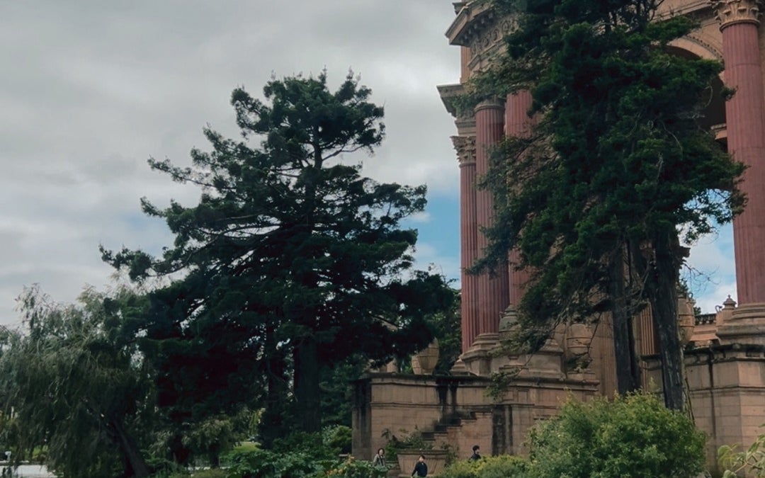 Palace of Fine Arts