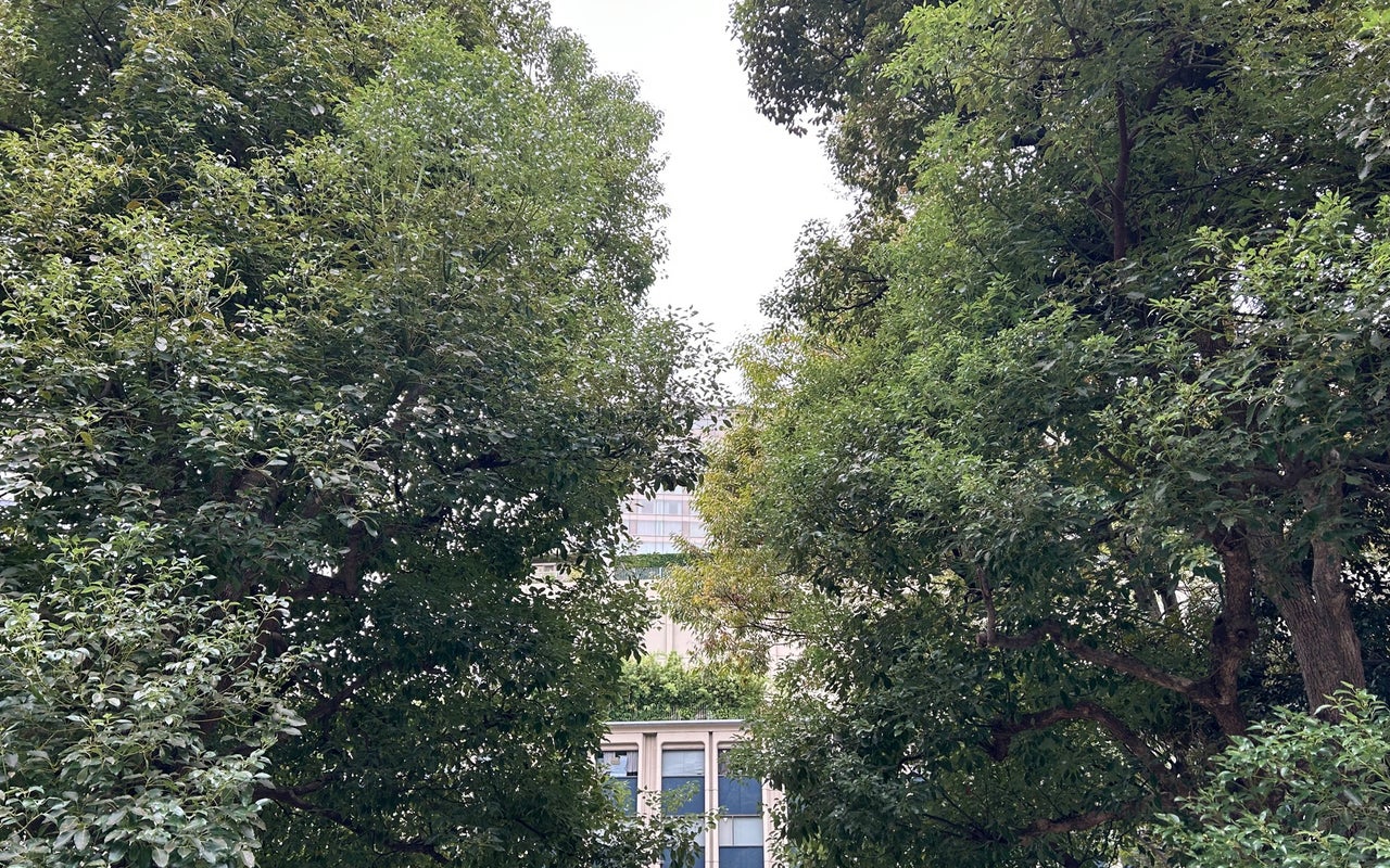 Shimizudani Park (清水谷公園)