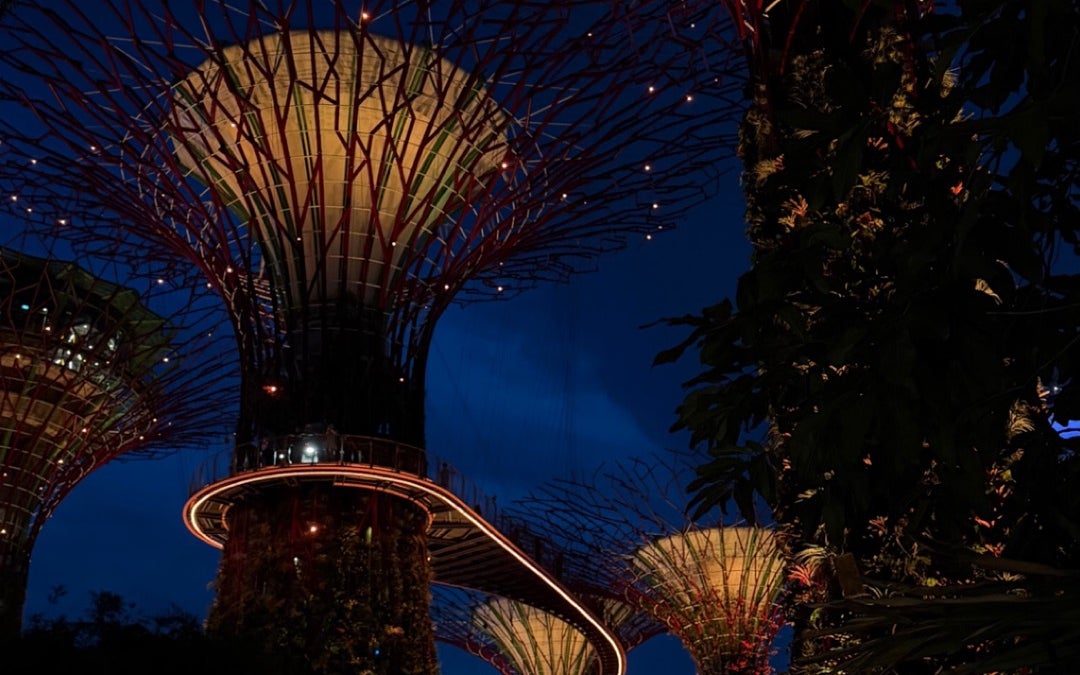 Supertree Grove