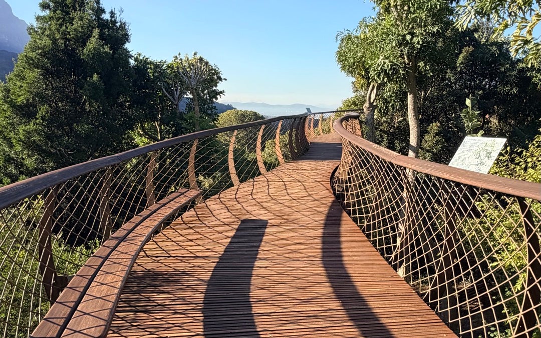 Centenary Tree Canopy Walkway (Boomslang)