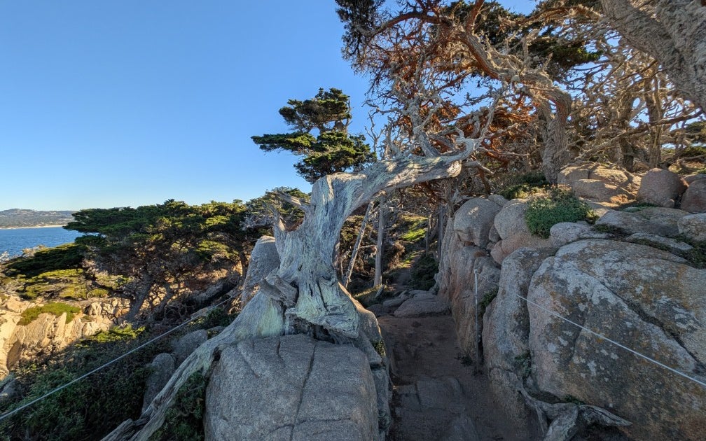 Point Lobos State Reserve