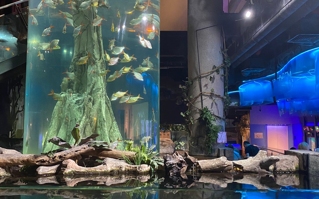 Aquaria KLCC