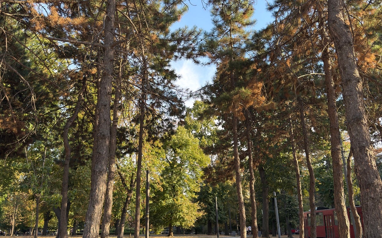 Tašmajdan Park (Tašmajdanski Park)
