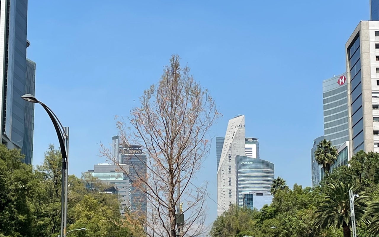 Glorieta de la Palma