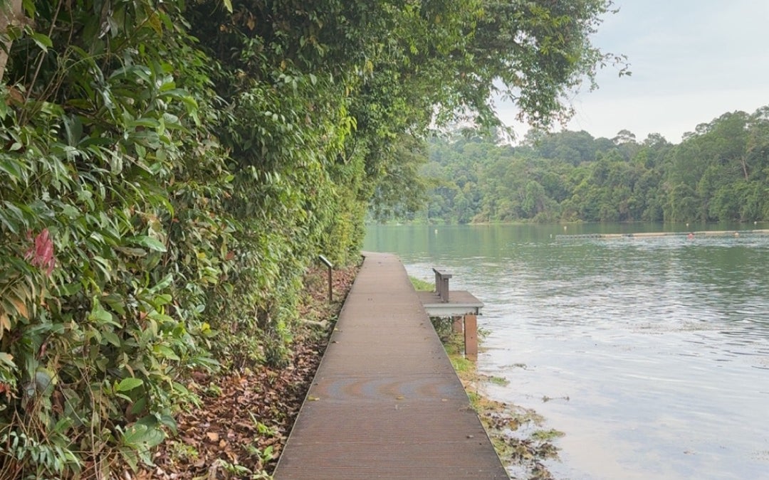Central Catchment Nature Reserve (CCNR)