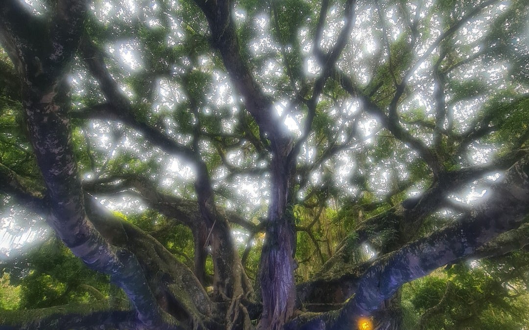 Praça XV de Novembro