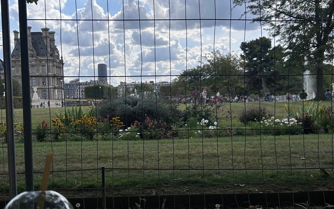 Carrousel Garden (Jardin du Carrousel)