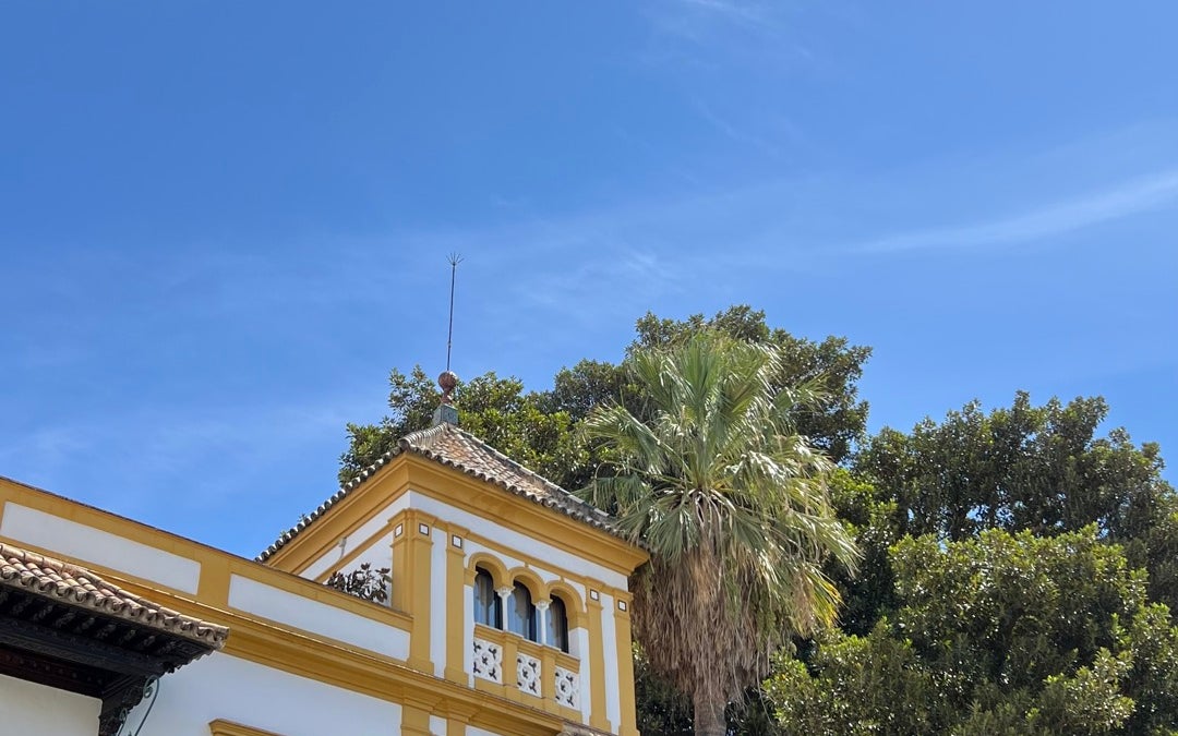 Santa Cruz Square (Plaza de Santa Cruz)