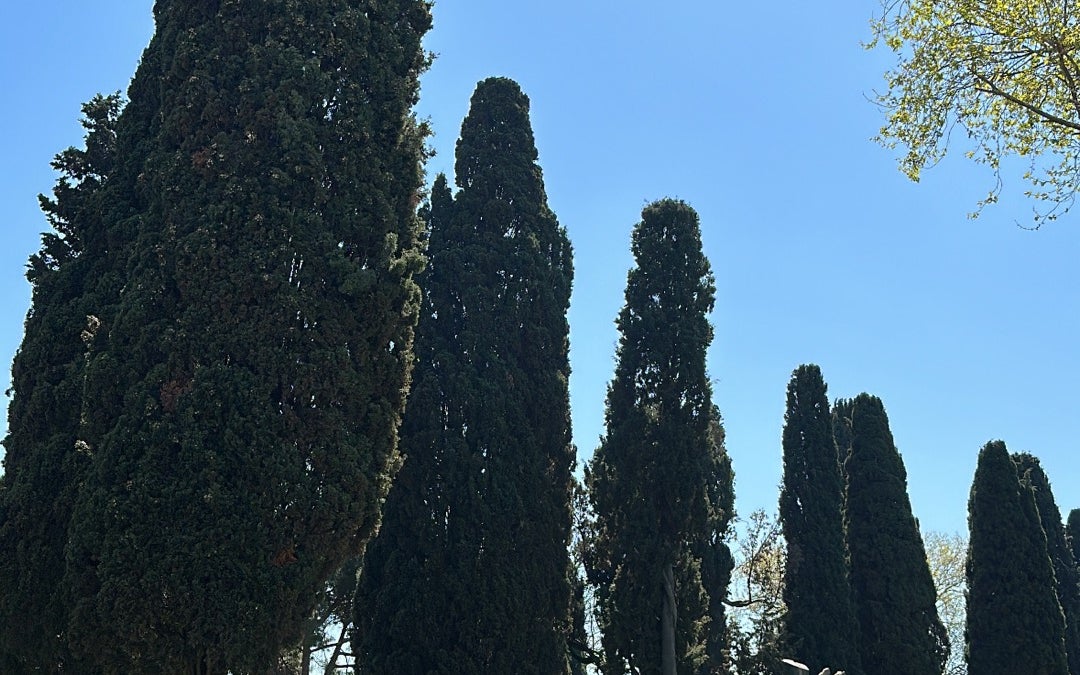 Fountain of Ahmed III (III. Ahmed Çeşmesi)
