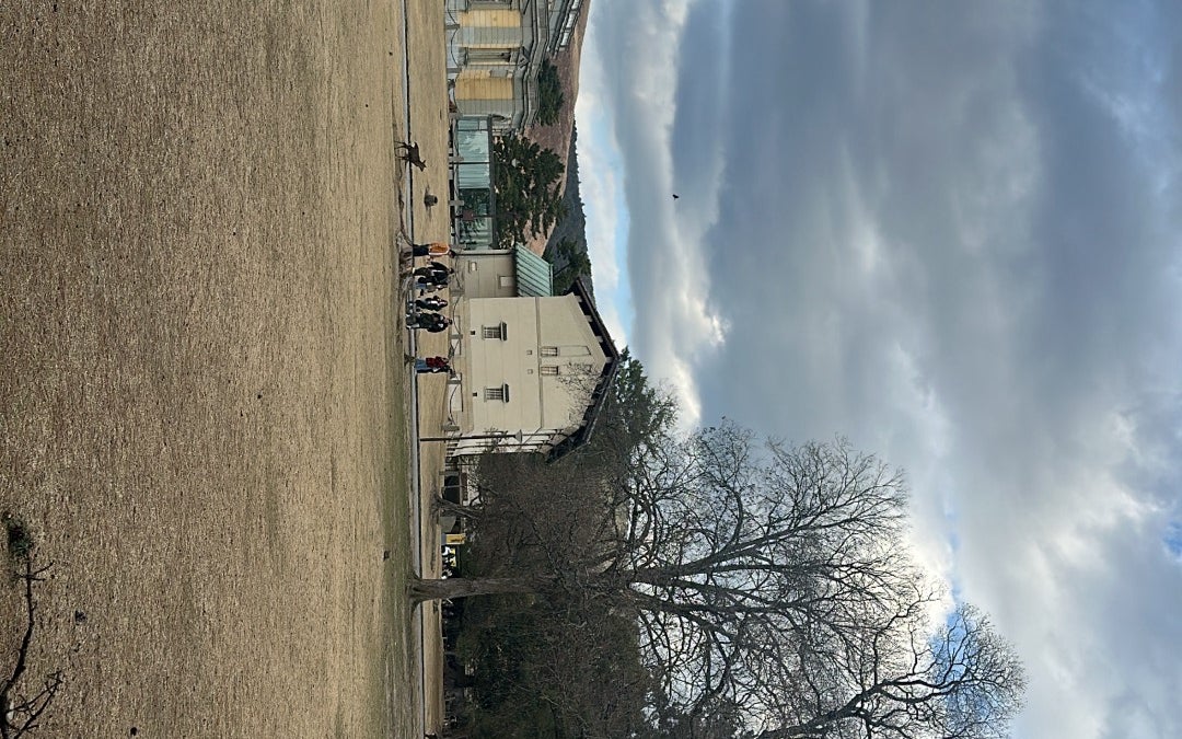 Nara Park (奈良公園)