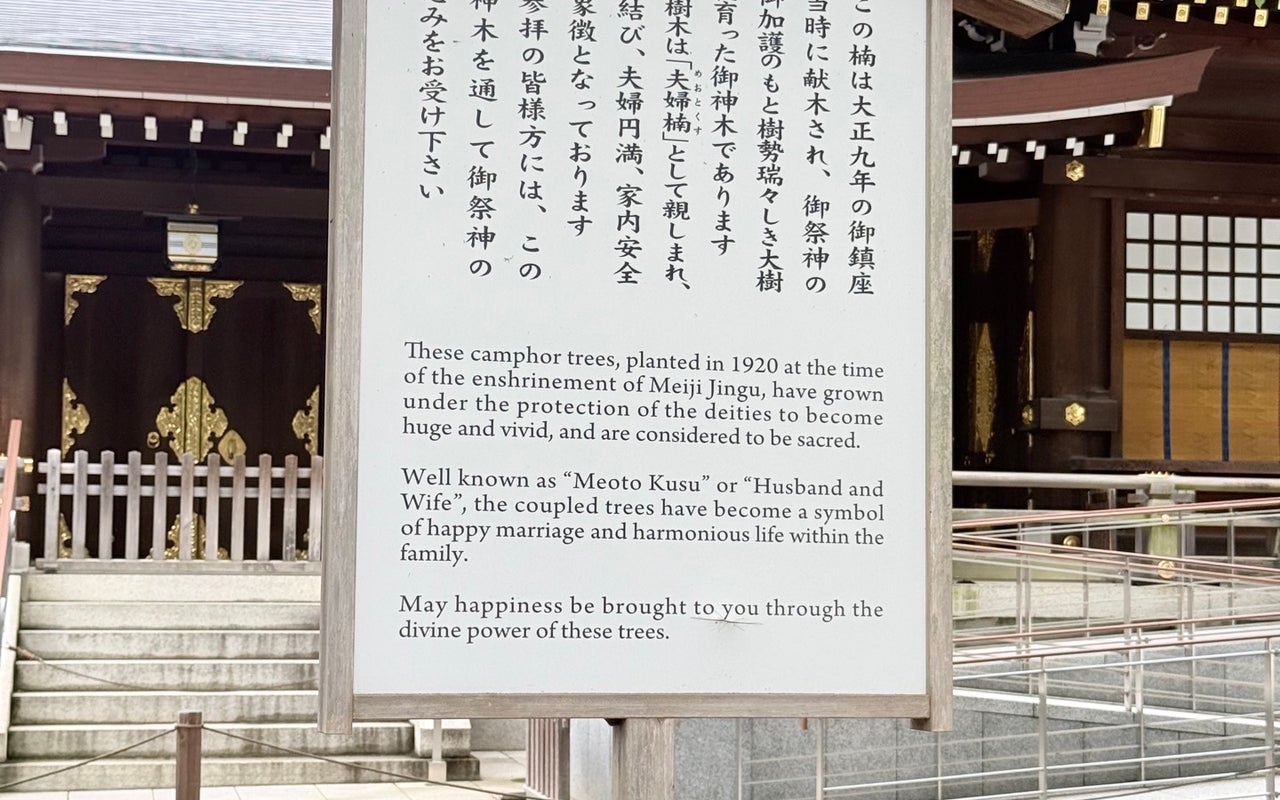 Meiji Jingu Shrine (明治神宮)