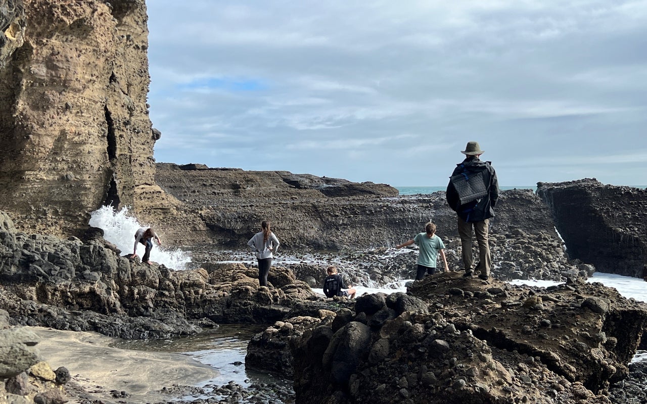 Piha Beach