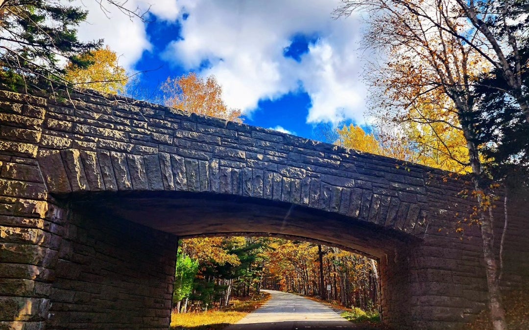 Acadia National Park