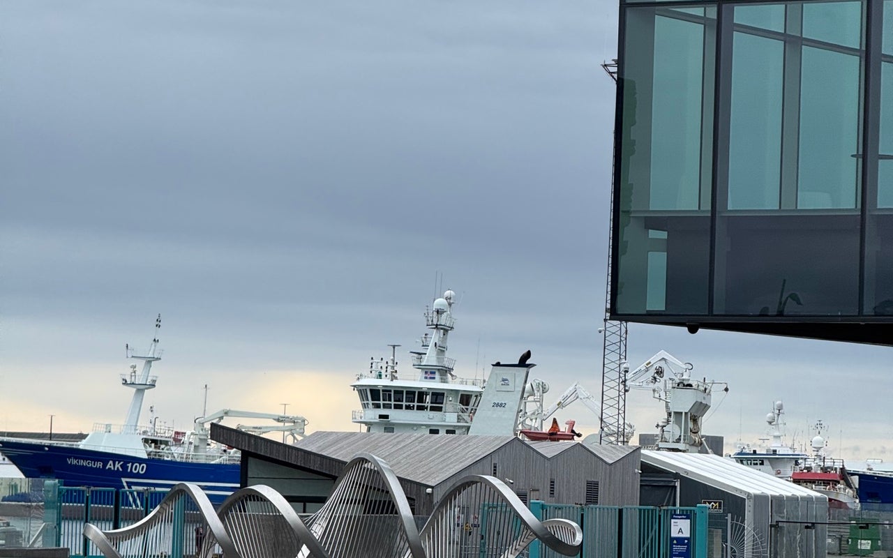 Harpa