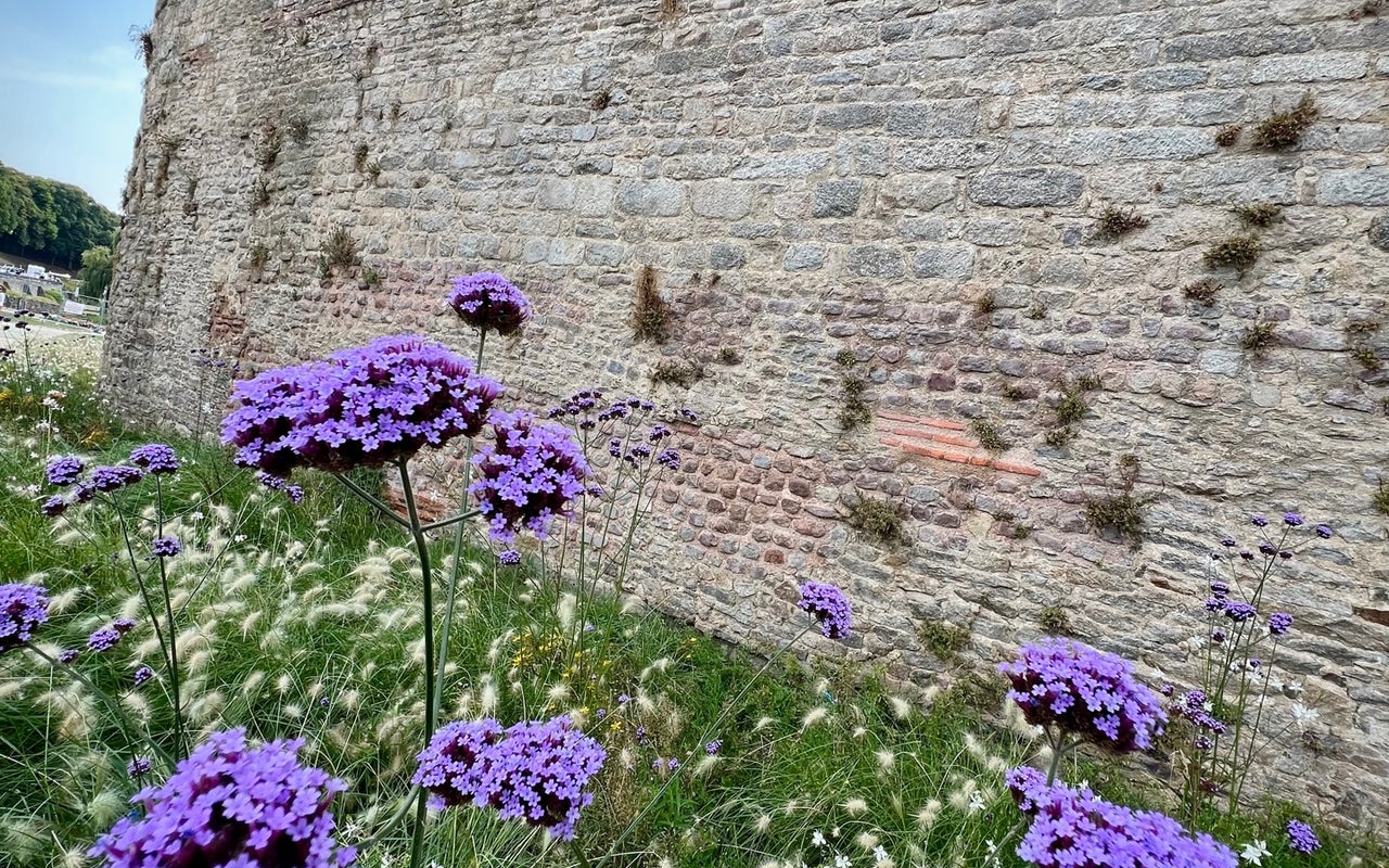 Remparts de Vannes