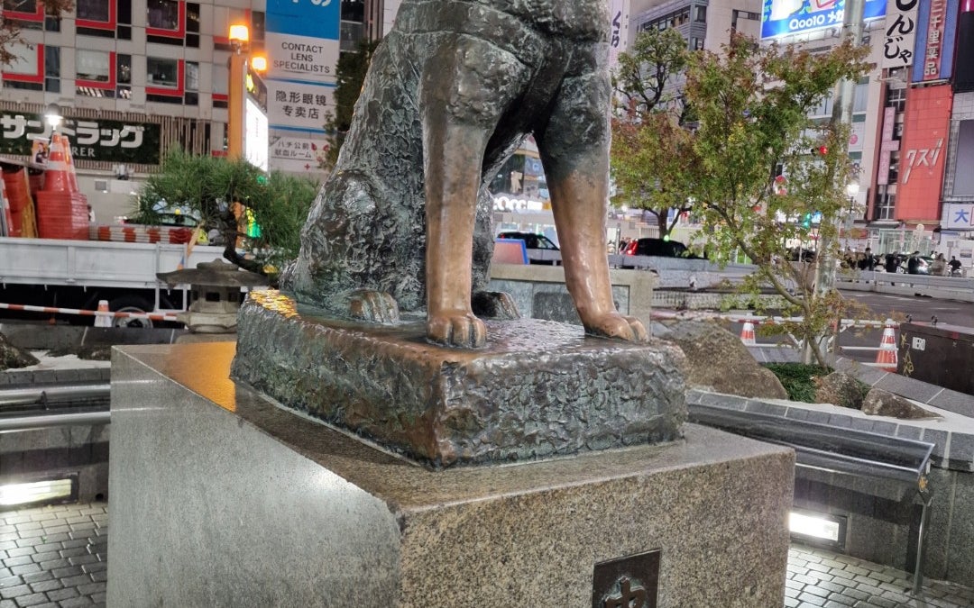 Shibuya Crossing (渋谷駅前スクランブル交差点)