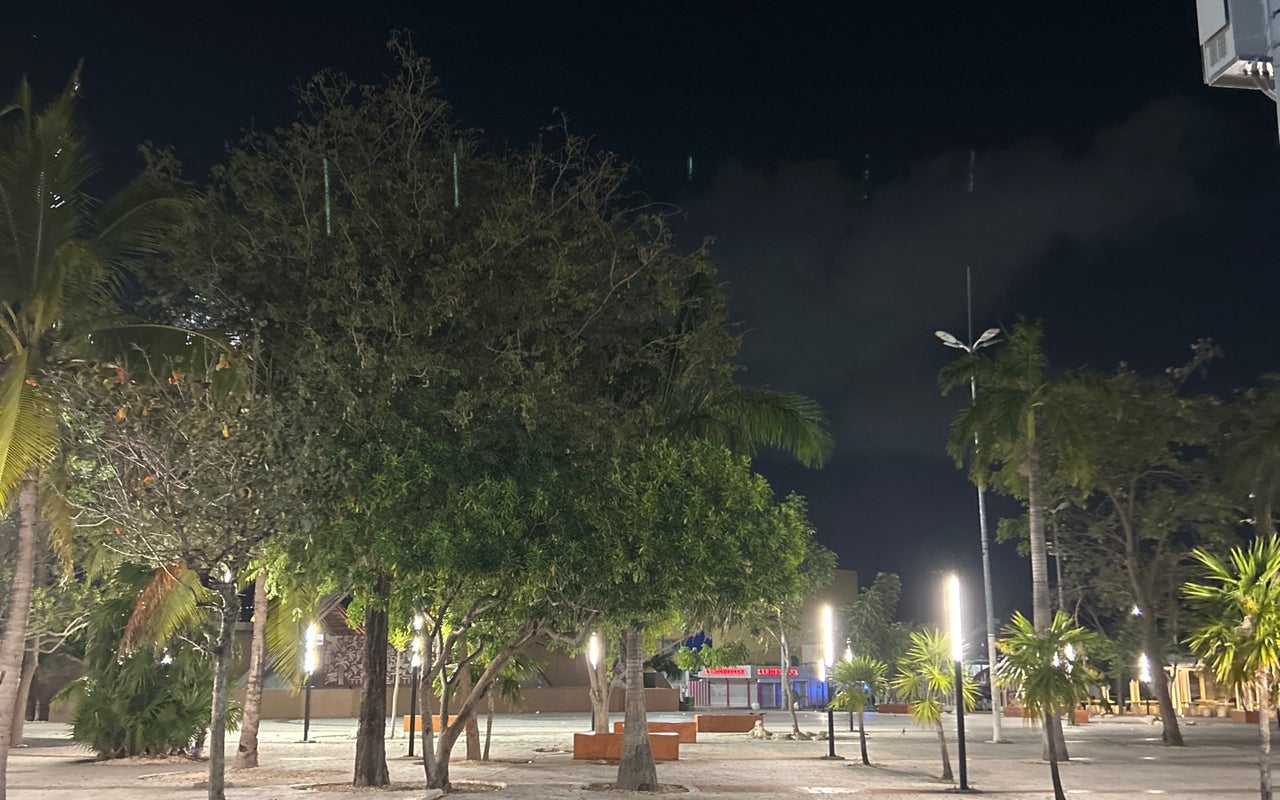 Parque de las Palapas