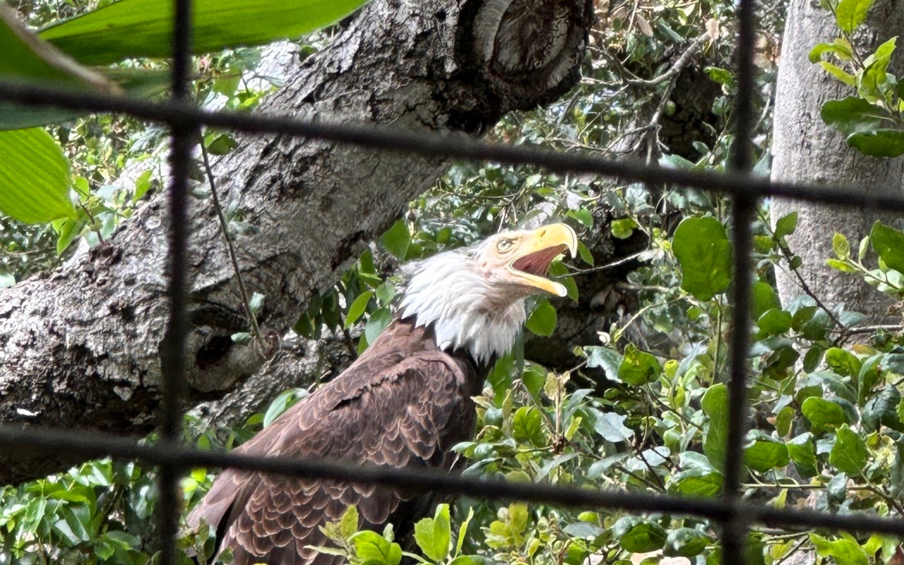 Santa Barbara Zoo