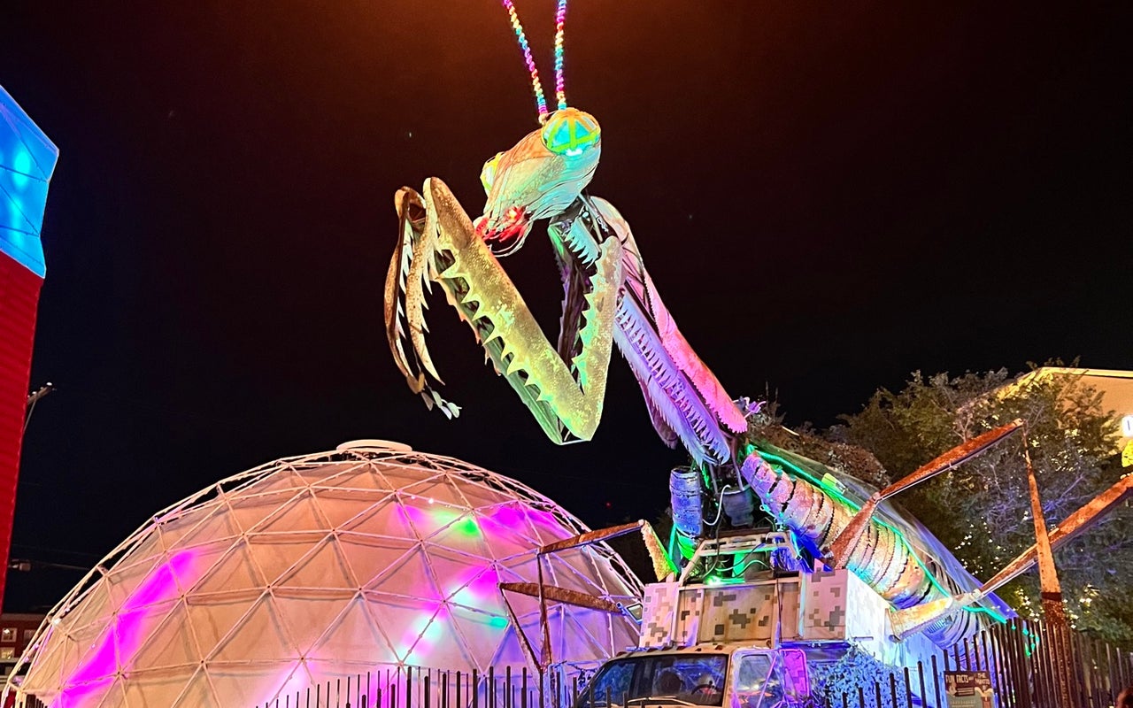 Praying Mantis