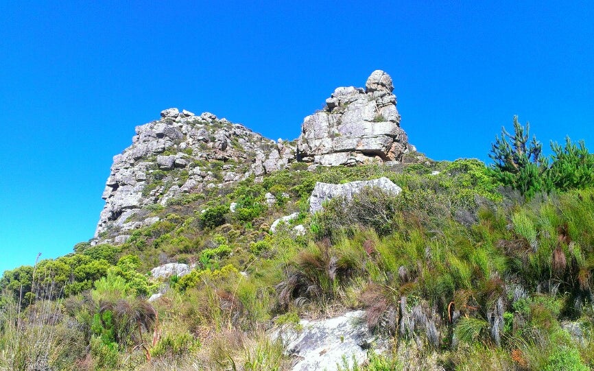 Constantia Nek