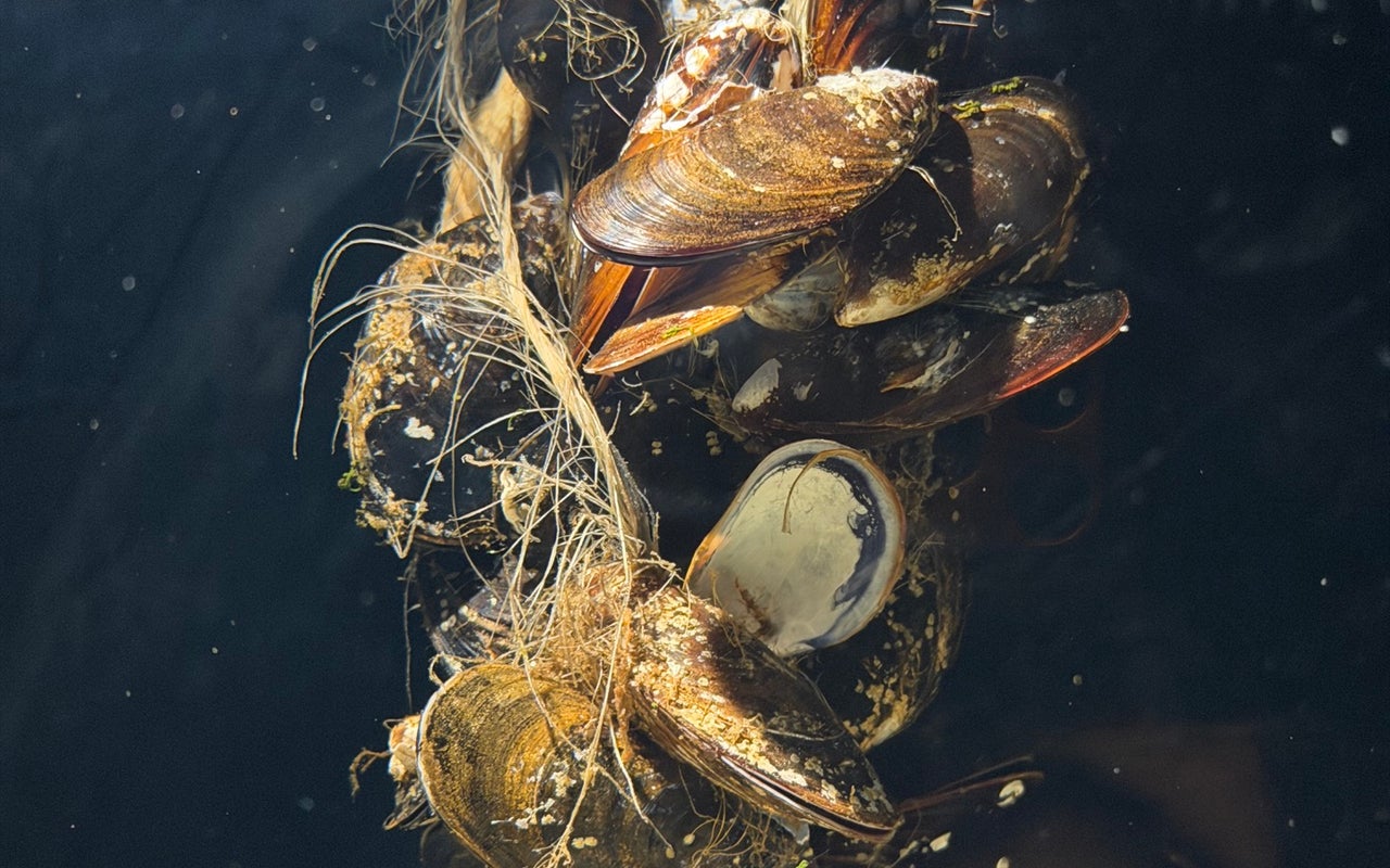 Palma Aquarium