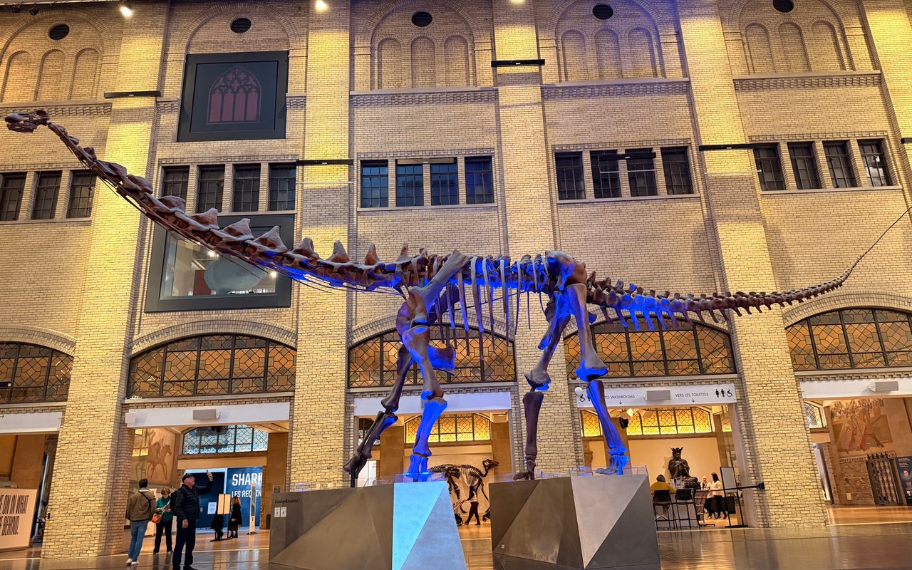 Royal Ontario Museum