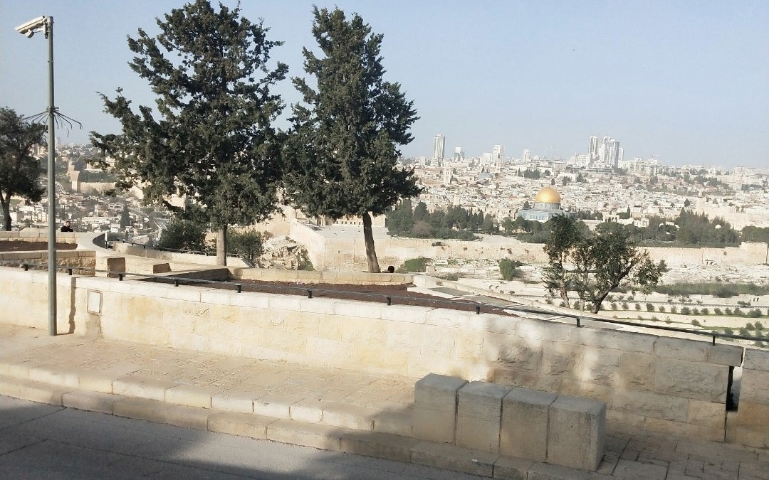 Mount of Olives (הר הזיתים)