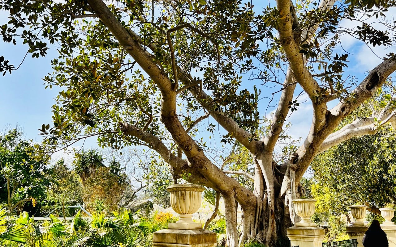 Argotti Botanic Gardens & Resource Centre