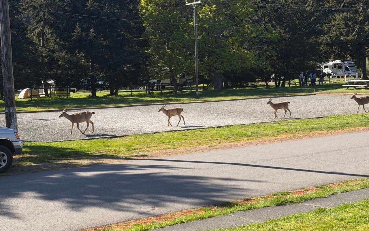 Fort Worden State Park