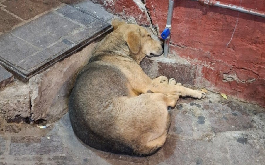 Callejón del Beso