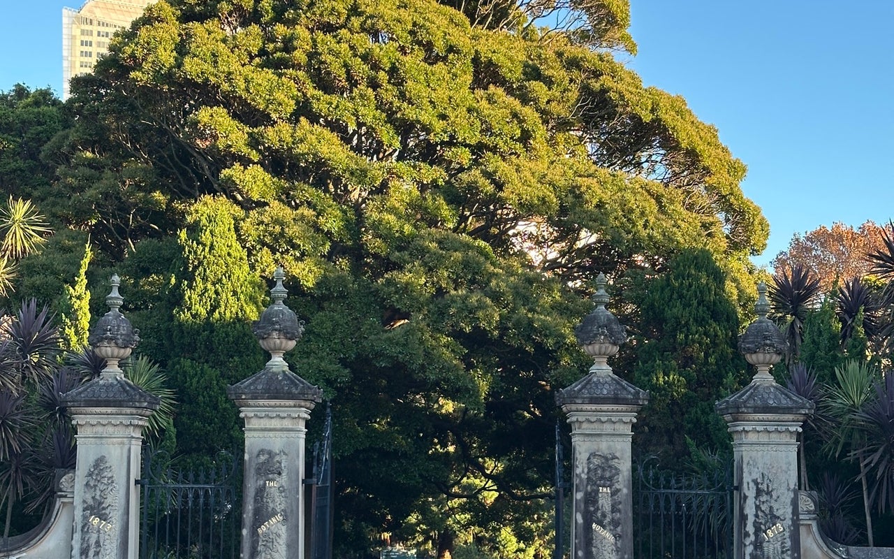 Royal Botanic Garden