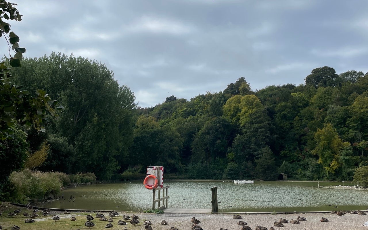 Swanbourne Lake
