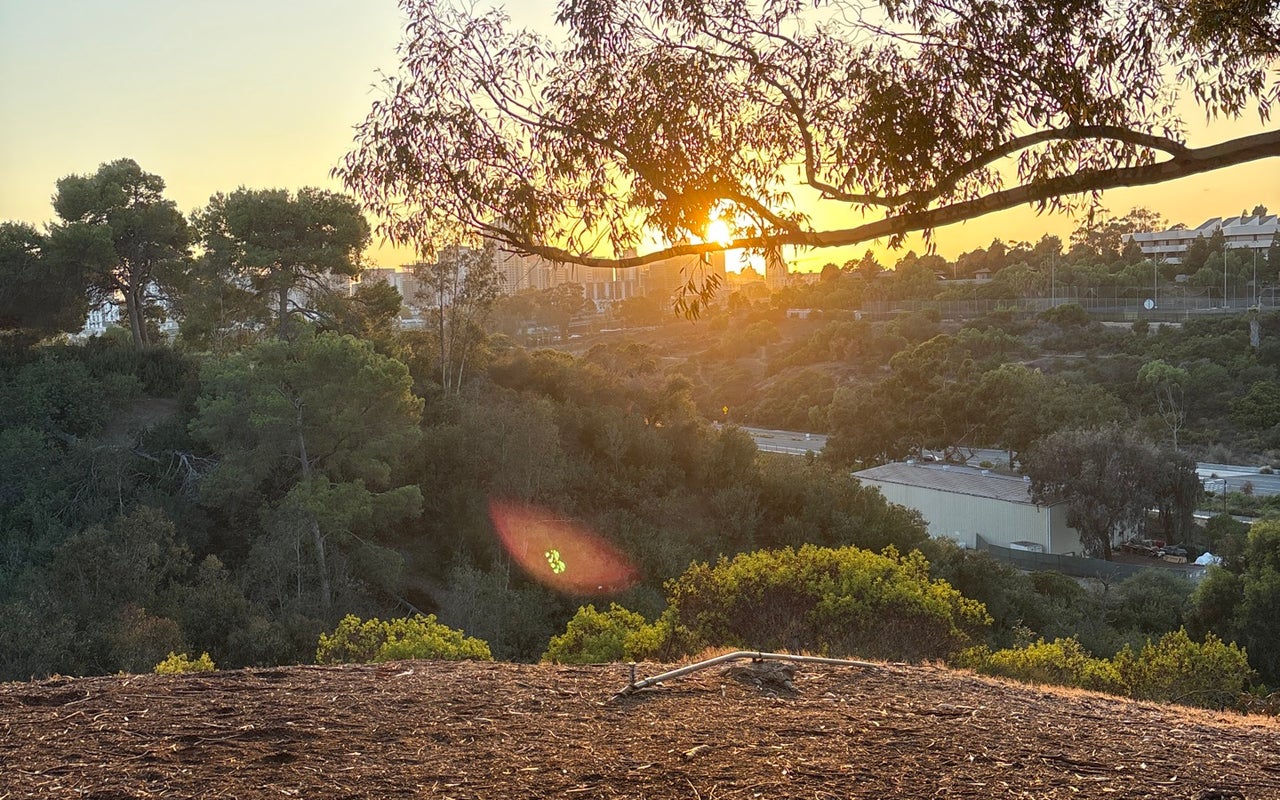 Golden Hill Park