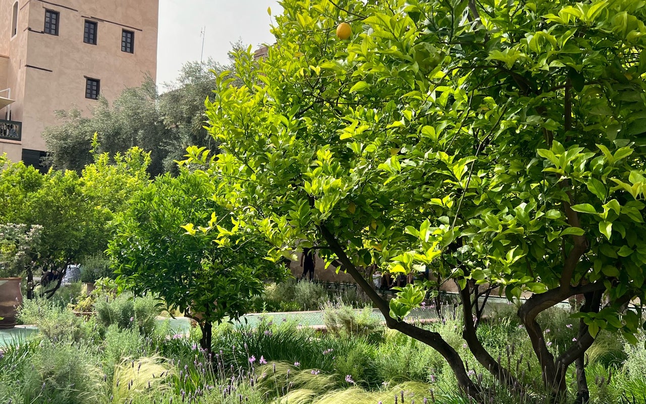 Le Jardin Secret