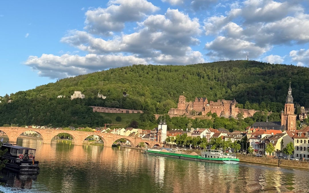 Neckarufer Heidelberg