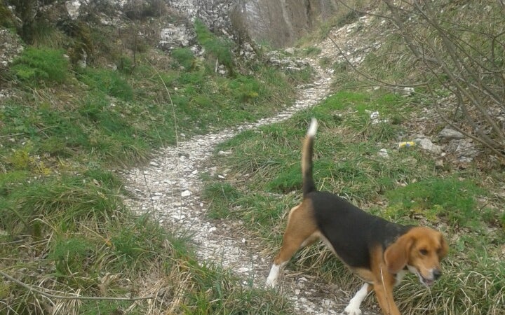 Monte Ingino