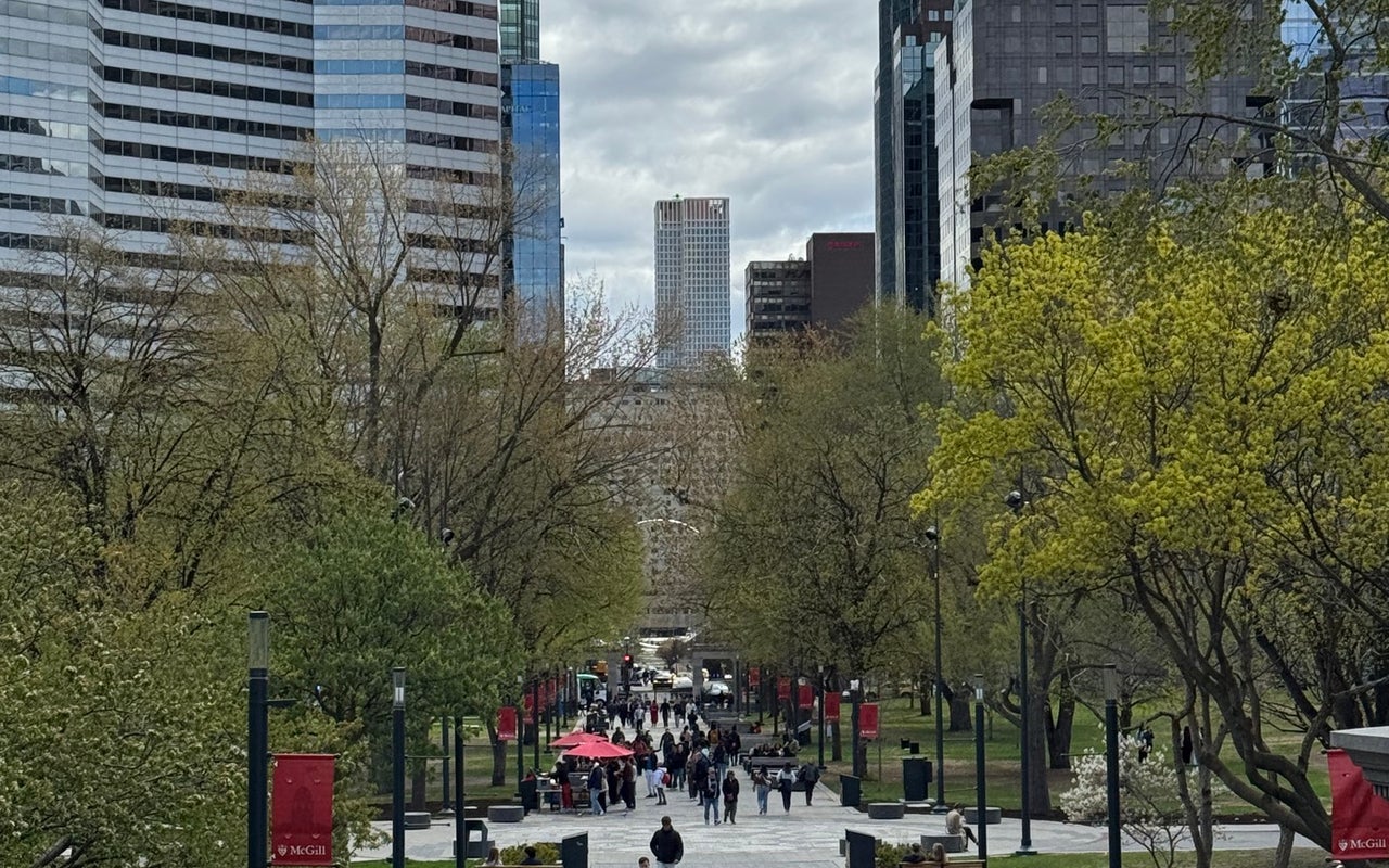 McGill University