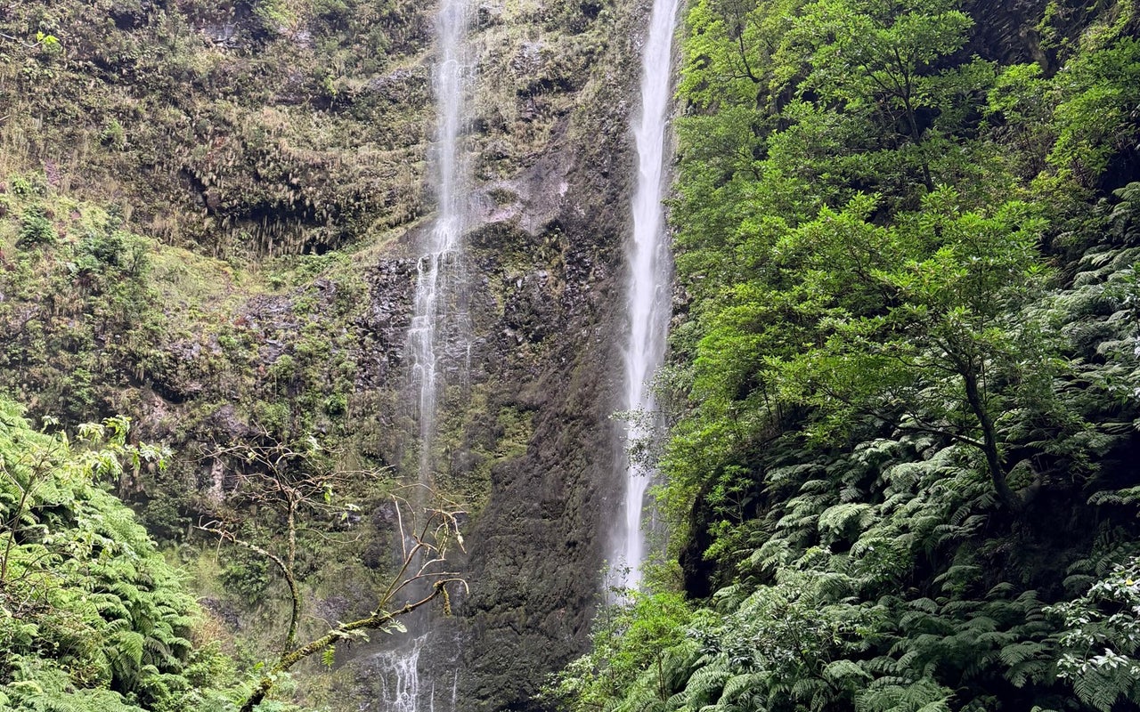Levada do Caldeirão Verde