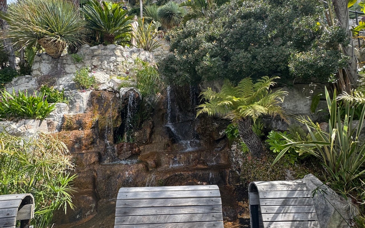 Jardin Exotique