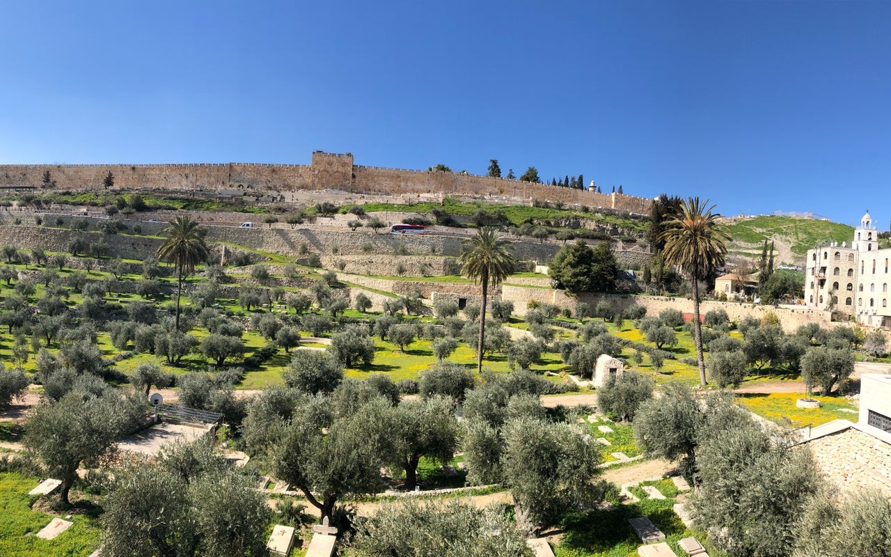 Garden of Gethsemane (גת שמנים)