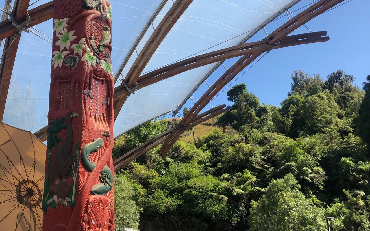 Waitomo Glowworm Caves