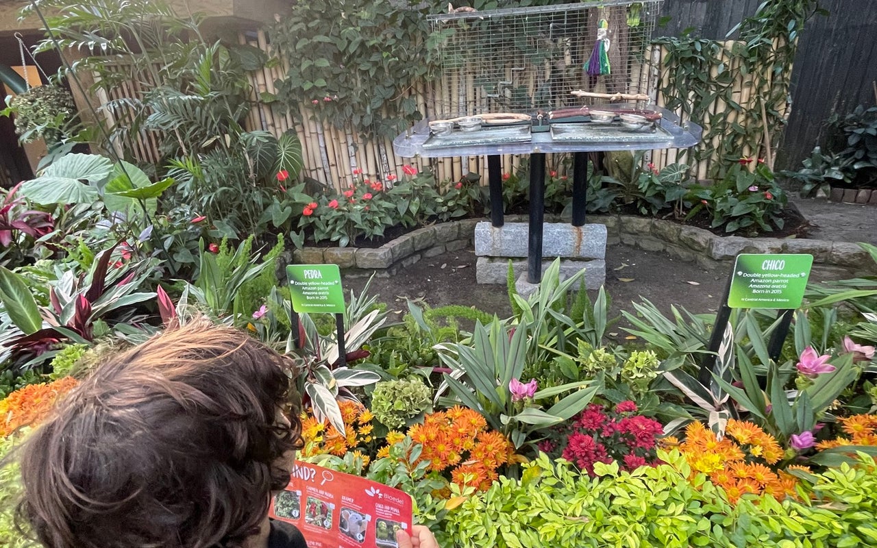 Bloedel Conservatory