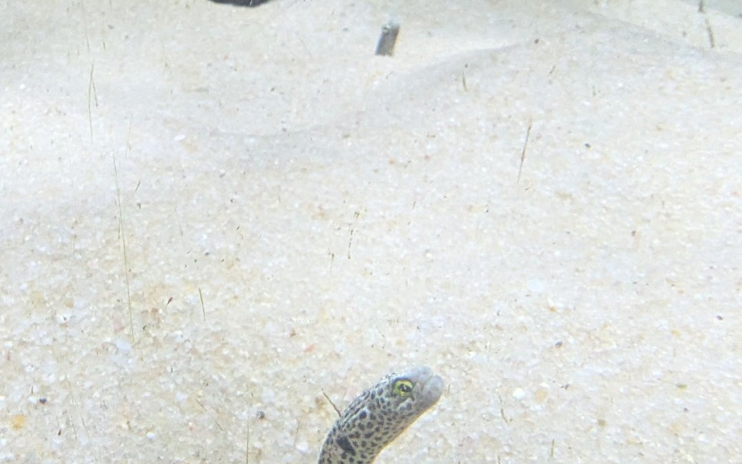 Aquarium