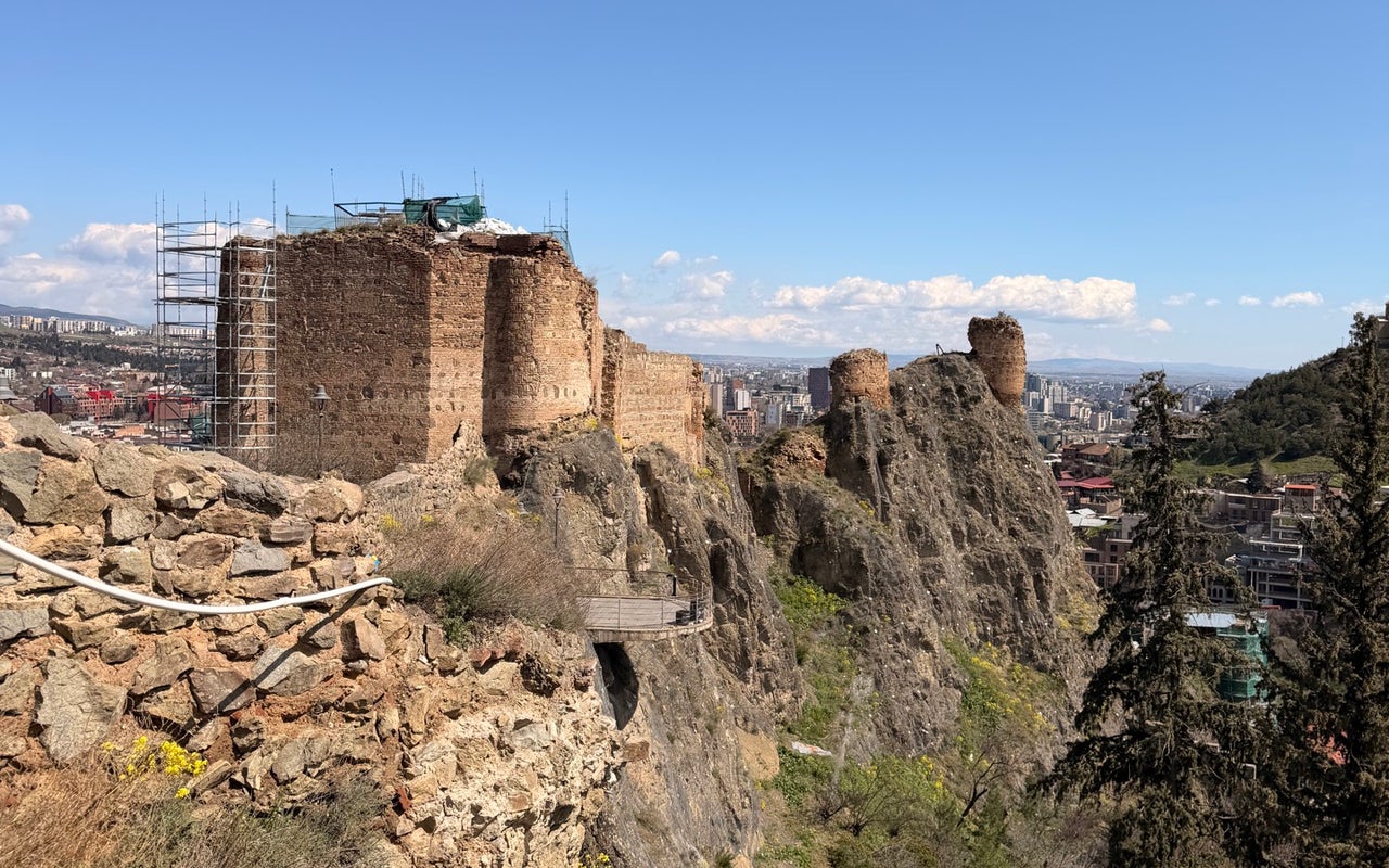 Botanical Garden (ბოტანიკური ბაღი)