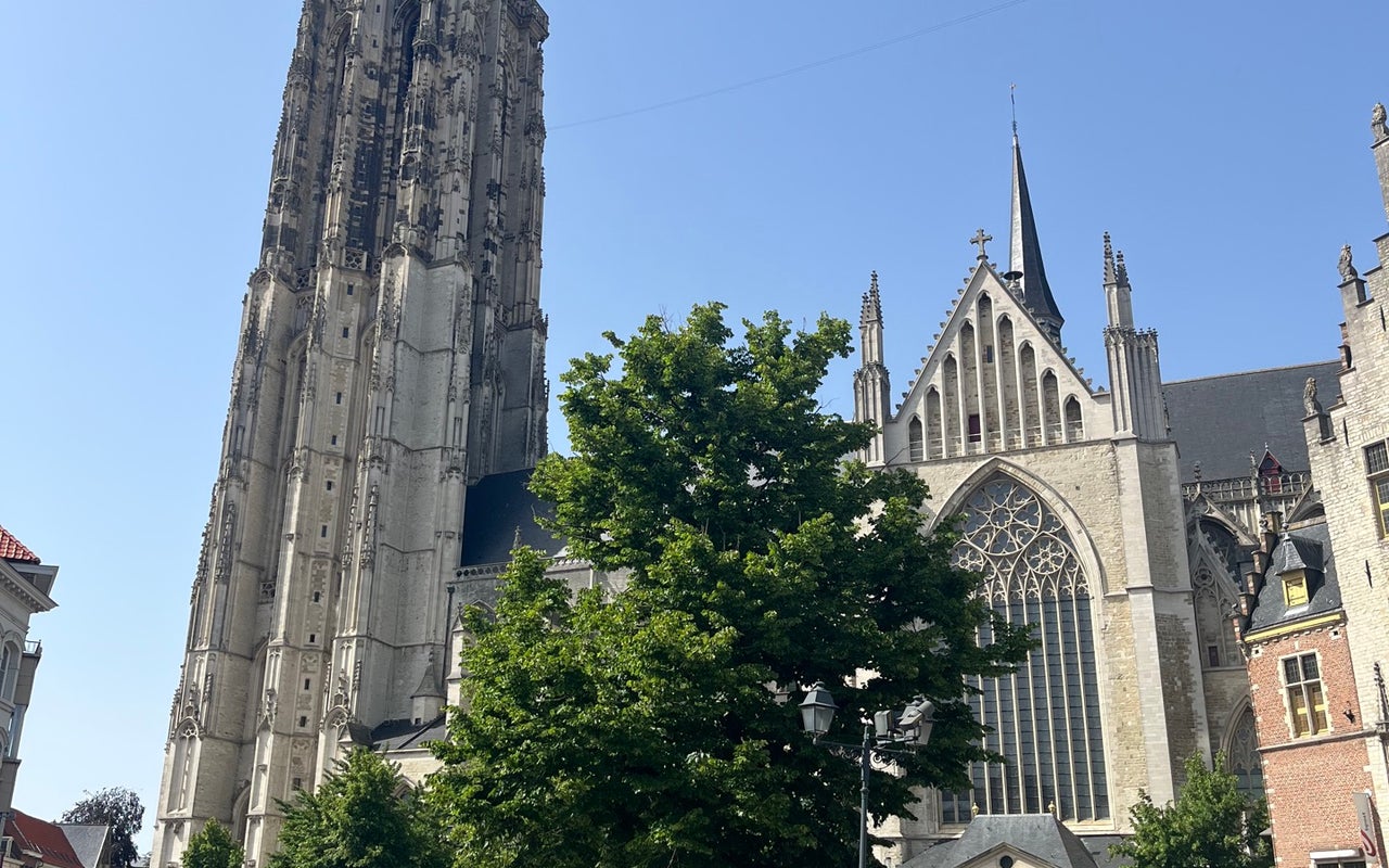St. Rumbold's Cathedral (Sint-Romboutskathedraal)